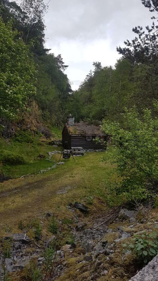 Вилла Molvik Hytten Ostereidet Экстерьер фото